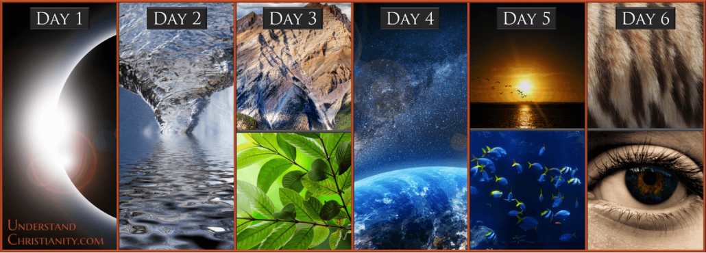 The 6 days of creation!  One year bible, In the beginning god, Days of  creation